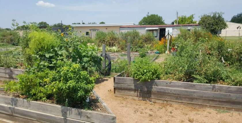 Rotary - ACRC - Website - Image - Sunshine Community Garden - Pocket Prairie - Mock-Up