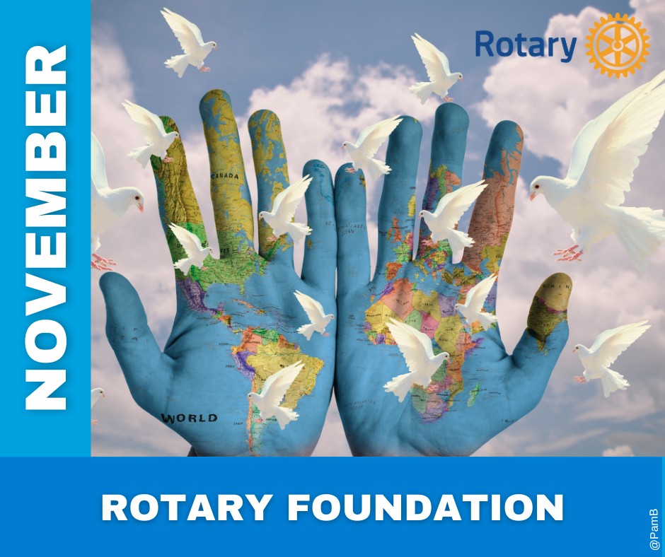 Rotary - ACRC - Website - Image - Monthly Theme - November - Rotary Foundation